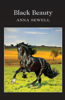 Paperback Black Beauty Illustrated Book
