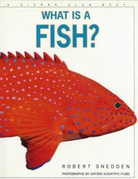 Paperback What Is a Fish? Book