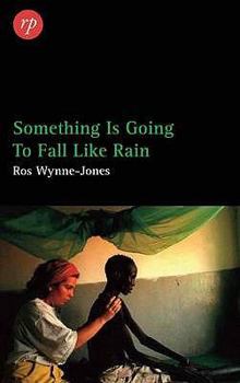 Paperback Something Is Going to Fall Like Rain Book