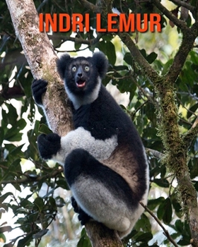 Indri Lemur: Amazing Facts about Indri Lemur