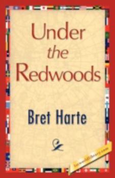 Under the Redwoods