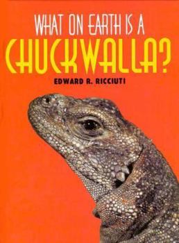 Hardcover What on Earth is a Chuckwalla Book