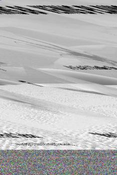 Paperback Track of the Dragon Book