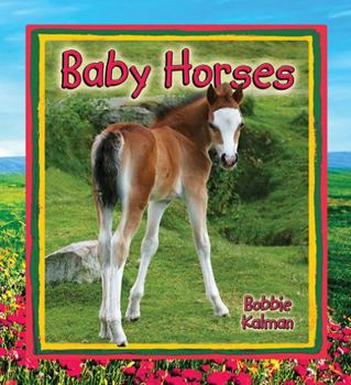 Hardcover Baby Horses Book