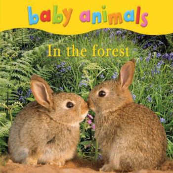 Baby Animals In the Forest - Book  of the Baby Animals