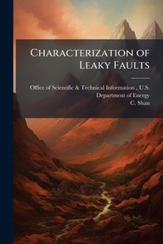 Paperback Characterization of Leaky Faults Book