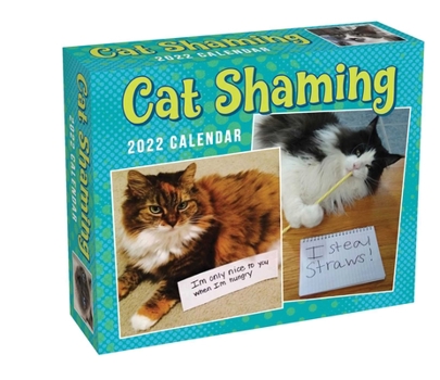 Calendar Cat Shaming 2022 Day-To-Day Calendar Book