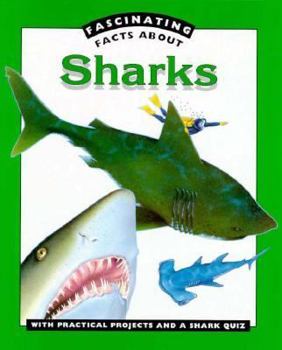 Paperback Sharks Book