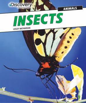 Library Binding Insects Book