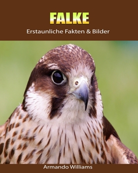 Paperback Falke: Erstaunliche Fakten & Bilder [German] Book