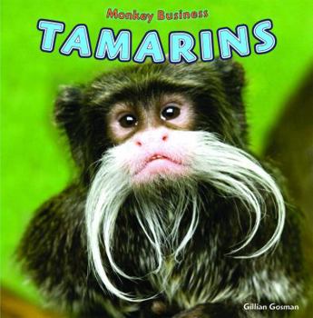 Paperback Tamarins Book