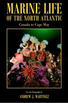 Paperback Marine Life of the North Atlantic: Canada to Cape May Book