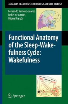 Functional Anatomy of the Sleep-Wake-fulness Cycle: Wakefulness
