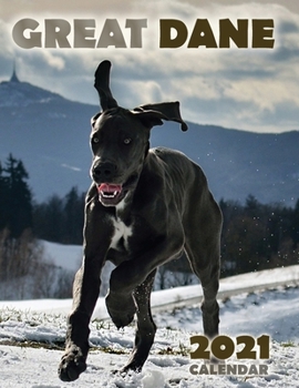 Paperback Great Dane 2021 Calendar Book