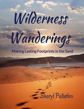 Paperback Wilderness Wanderings: Making Lasting Footprints in the Sand Book