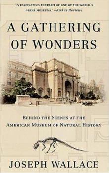 Paperback A Gathering of Wonders Book