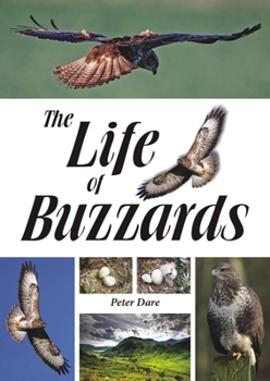 Paperback The Life of Buzzards Book