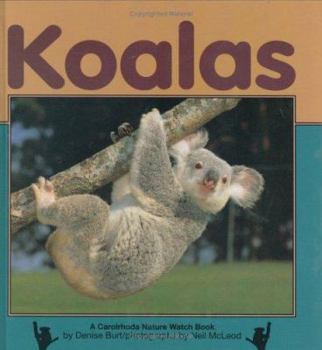 Hardcover Koalas Book