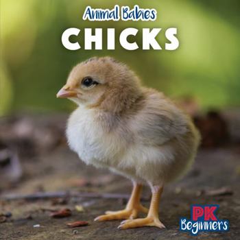 Chicks
