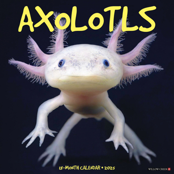 Calendar Axolotls 2025 12 X 12 Wall Calendar Book