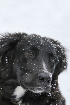 Paperback Labrador Retriever Dog Pup Puppy Doggie Notebook Bullet Journal Diary Composition Book Notepad - Snowflakes: Cute Animal Pet Owner Composition Book wi Book