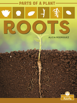 Paperback Roots Book