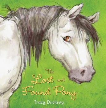 Hardcover The Lost and Found Pony Book