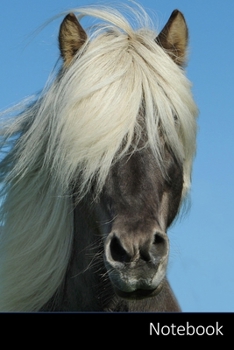 Paperback Notebook: Caballo Cuaderno - Diario - Libro de escritura - Notas - 6 x 9 (15.24 x 22.86 cm), 110 p?ginas, superficie brillante. Book