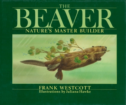 Hardcover The Beaver: Nature's Master Builder Book