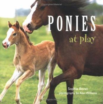Hardcover Ponies at Play Book