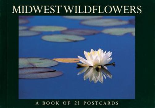 Card Book Midwest Wildflowers Book