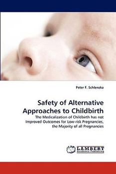 Paperback Safety of Alternative Approaches to Childbirth Book