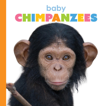 Paperback Baby Chimpanzees Book