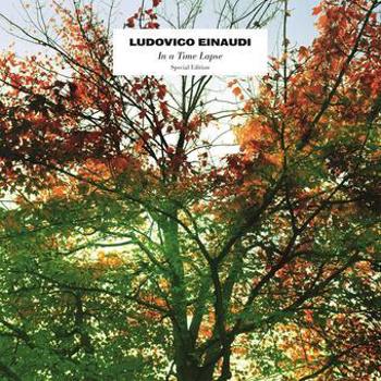 Vinyl In A Time Lapse  (Special Edition) Book