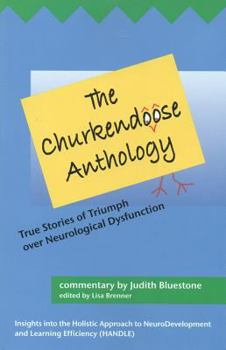 Paperback The Churkendoose Anthology: True Stories of Triumph Over Neurological Dysfunction Book