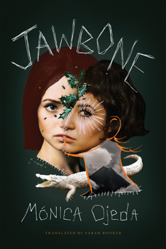 Paperback Jawbone Book