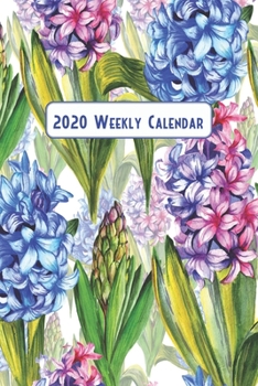 Paperback 2020 Weekly Calendar: Watercolor Hyacinths Book