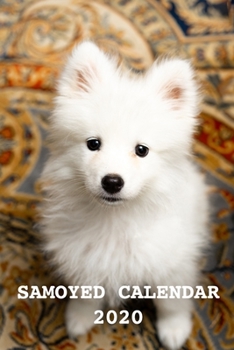 Samoyed Calendar 2020: Calendars Gift 110 Pages 6x9 Soft Cover Matte Finish