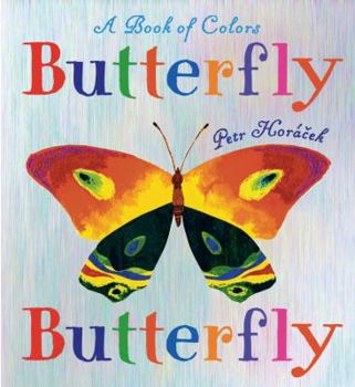 Hardcover Butterfly Butterfly: A Book of Colors Book
