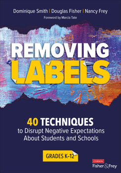 Paperback Removing Labels, Grades K-12: 40 Techniques to Disrupt Negative Expectations about Students and Schools Book