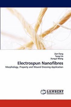 Paperback Electrospun Nanofibres Book