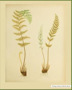 Nature Sketch Book : Vintage Nature Print (12), 8 X 10 , Sketch Pad, for Drawing, Unlruled Drawing Paper Pad - [Professional Binding]