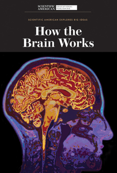 Paperback How the Brain Works Book