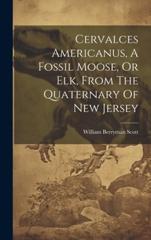 Hardcover Cervalces Americanus, A Fossil Moose, Or Elk, From The Quaternary Of New Jersey Book