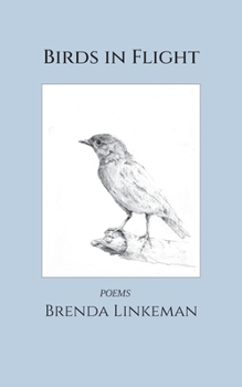 Paperback Birds in Flight Book