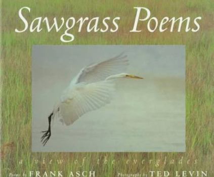 Hardcover Sawgrass Poems: A View of the Everglades Book