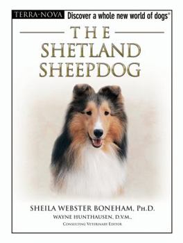 Hardcover The Shetland Sheepdog [With DVD] Book