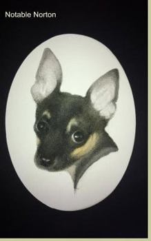 Paperback Notable Norton Book