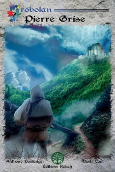 Paperback Pierre Grise [French] Book