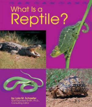 Hardcover What Is a Reptile? Book